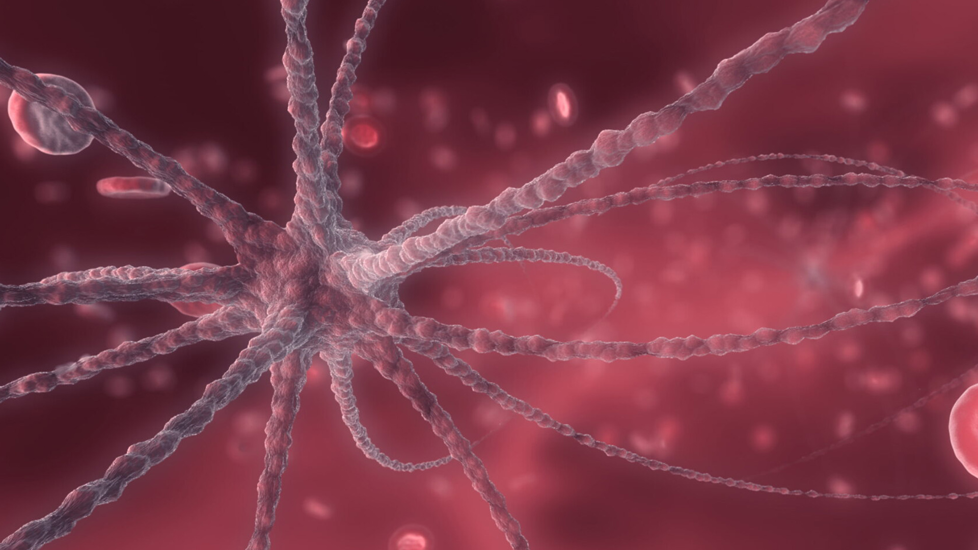 EH8500 Smart Analyzer